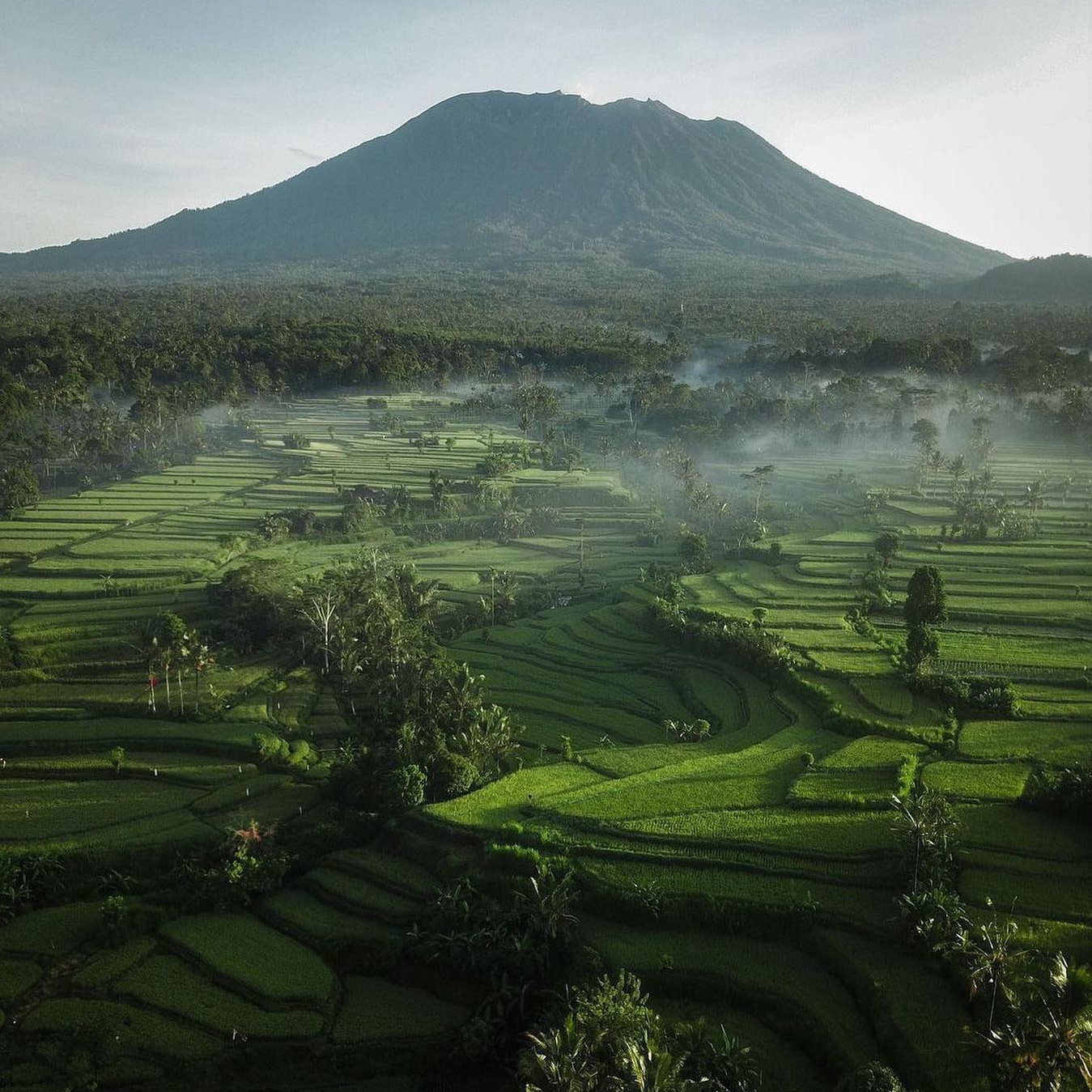 Palette del Matrimonio